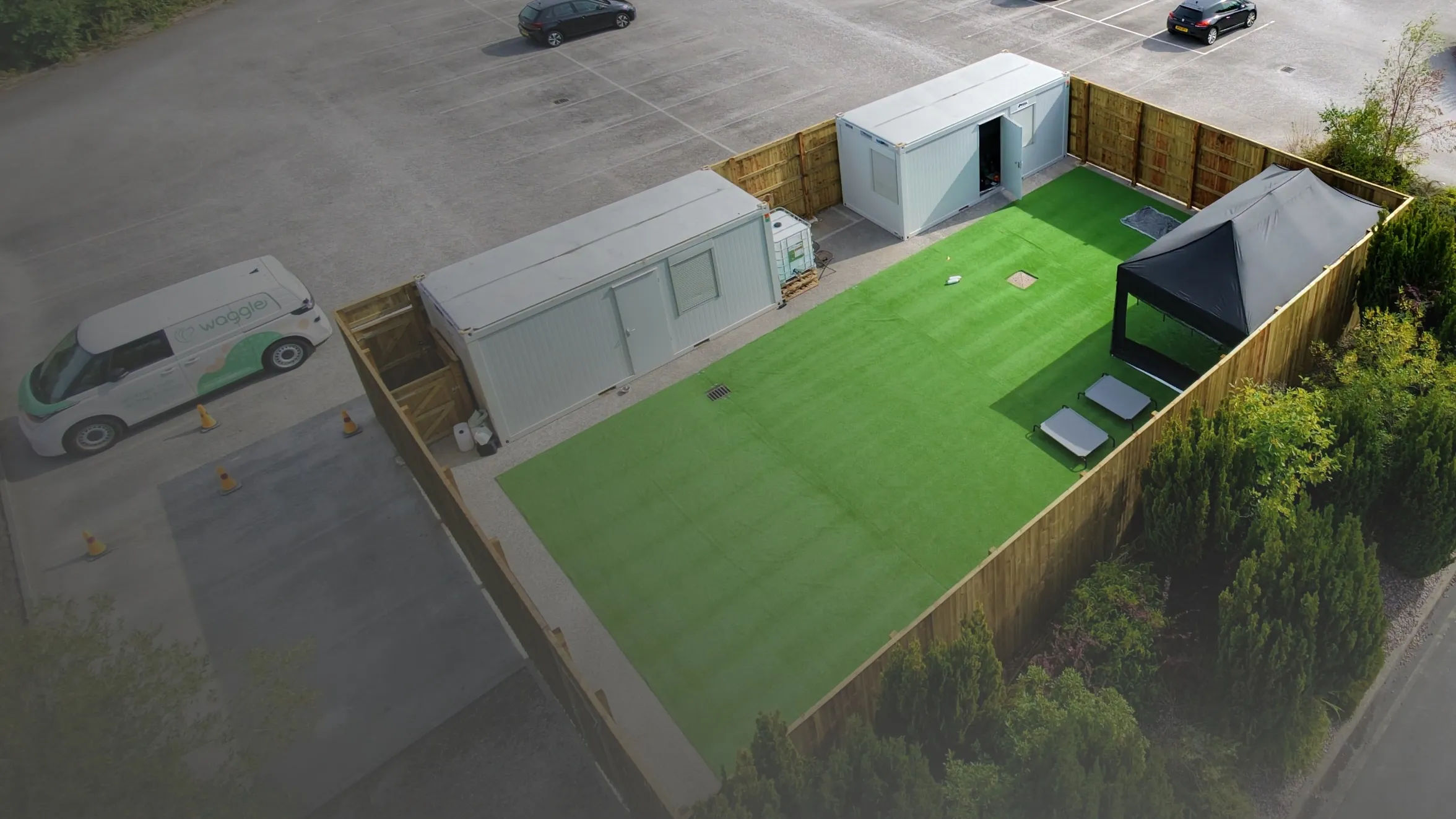 Dogs playing on the artificial lawn at Wagglers Dog Daycare in Handforth, Wilmslow